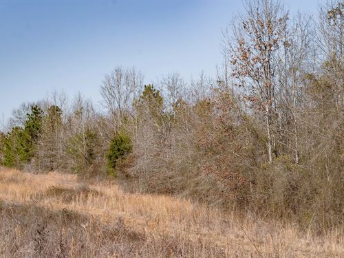 Woodville 45, SW Lincoln Parish Ti : Ruston : Lincoln Parish : Louisiana