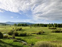 Brazos Valley Home And Farm : Los Ojos : Rio Arriba County : New Mexico
