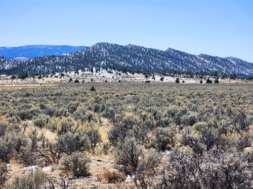 Experience Slow Desert Living : Regina : Rio Arriba County : New Mexico