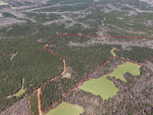 Tuscaloosa County 125 Acres Rec : Gordo : Tuscaloosa County : Alabama