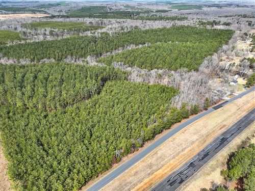 58.75 Acres of Timberland For Sale : Arvonia : Buckingham County : Virginia