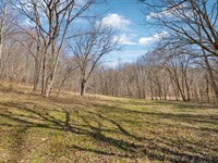 160.5 Acres in Clay County, Tenness : Celina : Clay County : Tennessee
