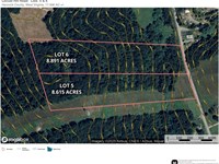 Locust Hill Rd, 17 Acres, Hancock : Chester : Hancock County : West Virginia