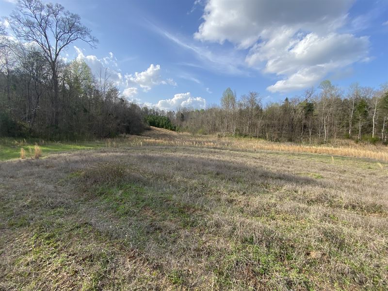 Deer Bluff 30 Acres : Millry : Washington County : Alabama