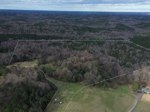 Prime 52.29 Acre Recreational Tract : Chester : South Carolina