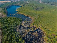 Seminole Winds Plantation : Cobbtown : Candler County : Georgia