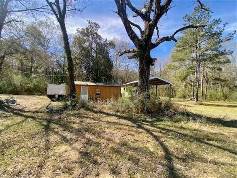 20 Acres Beansie Rushing Road : Tylertown : Walthall County : Mississippi