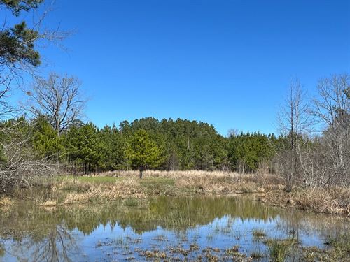 59 Acre Hale County, AL Recreati : Moundville : Hale County : Alabama
