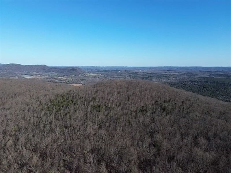 Big Bluff 80 : Pleasant Grove : Stone County : Arkansas