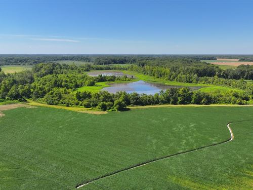 198 Acre Farm With Reservoir : Dewitt : Arkansas County : Arkansas