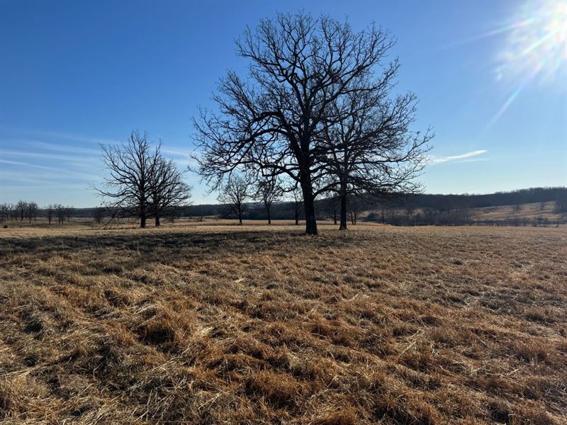62 Acres in Laclede County Missouri : Falcon : Laclede County : Missouri