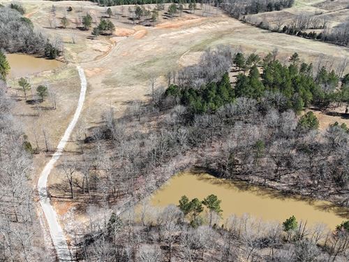 37.21 Acres In Hardeman County, TN : Toone : Hardeman County : Tennessee