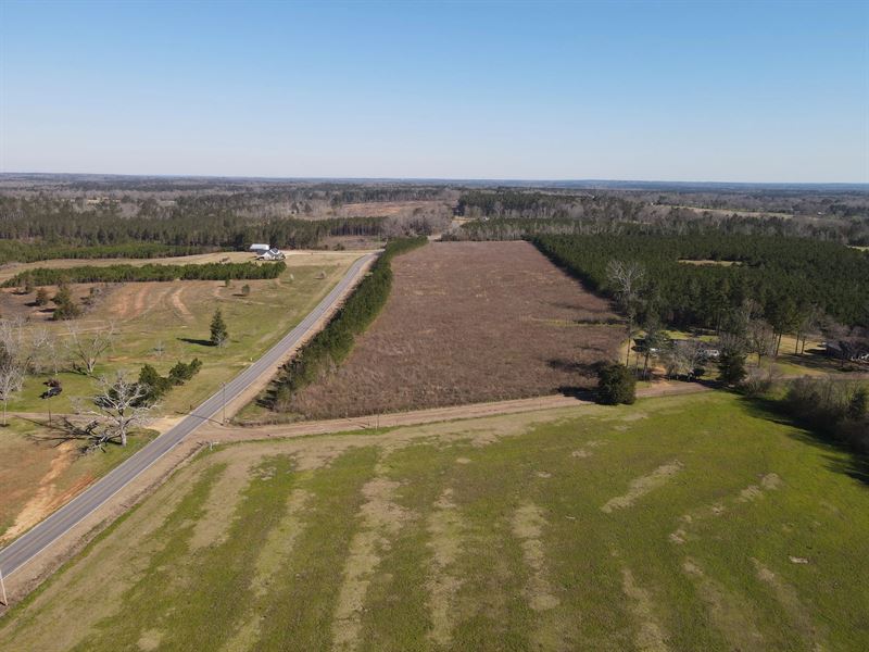 16.9 Acres in Simpson County, MS : Magee : Simpson County : Mississippi