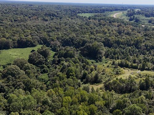 42 Acres In Holmes County, MS : Tchula : Holmes County : Mississippi