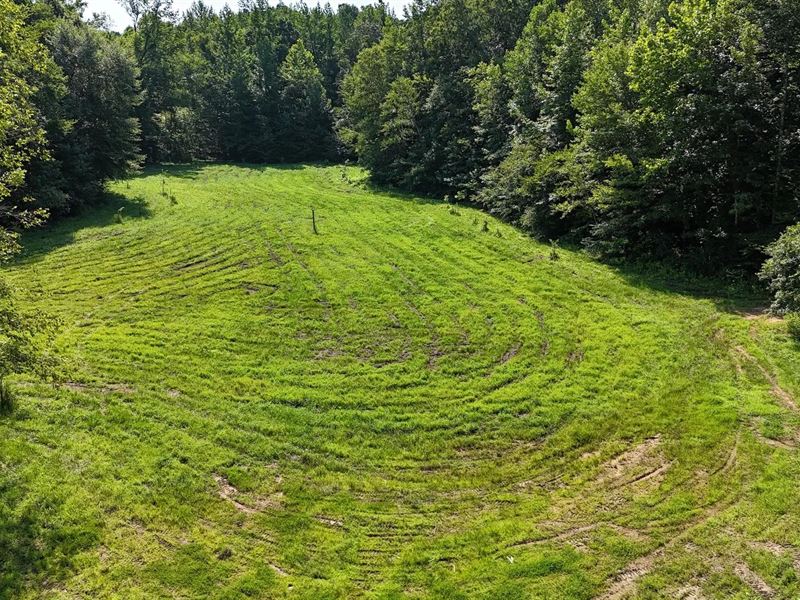 215 Acres in Hardeman County, MS : Toone : Hardeman County : Tennessee