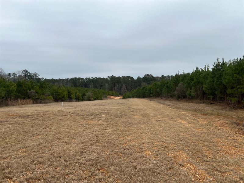 10 Acres in Lincoln County, MS : Summit : Lincoln County : Mississippi