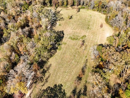 Creeks, Campsites & Trophy Wildlif : Vicksburg : Warren County : Mississippi