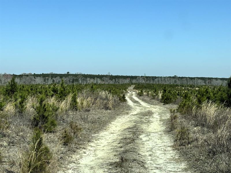 Laurens County Land Investment : Dublin : Laurens County : Georgia