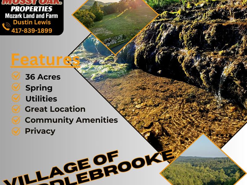 Convenience and Privacy in One : Saddlebrooke : Christian County : Missouri