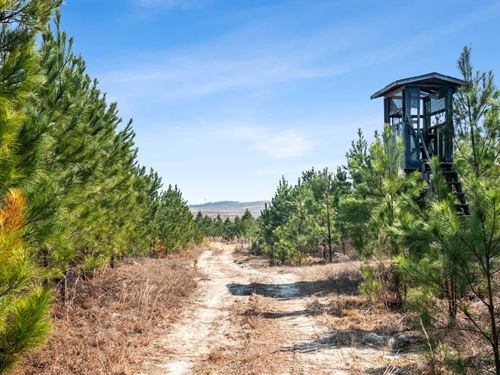 Murray Hills : Eastover : Richland County : South Carolina