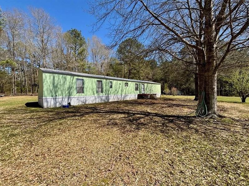 Home On 7 Acres in Tylertown MS : Tylertown : Walthall County : Mississippi