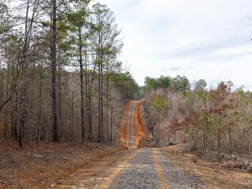 $999 Down Alabama Land : Bankston : Fayette County : Alabama