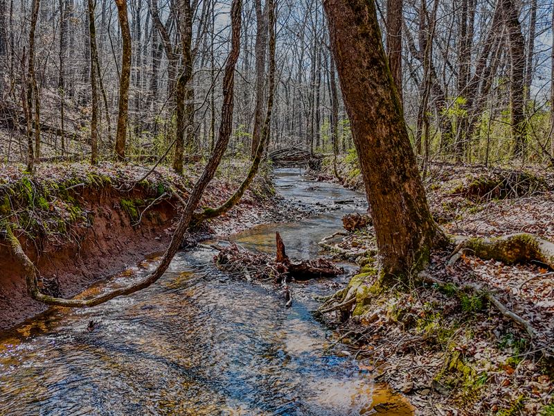 Vanns Creek Lot 11 : Rome : Floyd County : Georgia