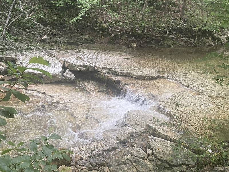 Ozarks Self-Sufficient Farm : Wasola : Oregon County : Missouri