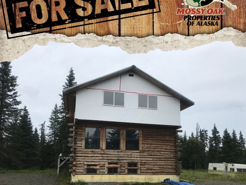 Private Setting on 5 Acres : Ninilchik : Kenai Peninsula Borough : Alaska