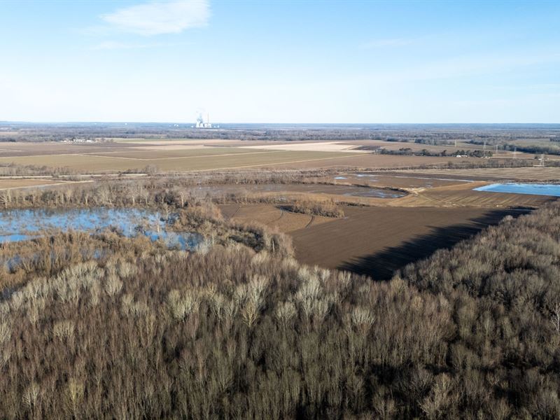 Loftin Lake : Newport : Jackson County : Arkansas