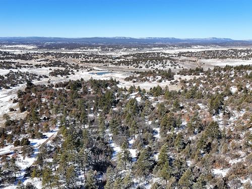 Create Your Luxury Rustic Cabin : Los Ojos : Rio Arriba County : New Mexico