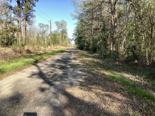 Pevoto Road Tract, Calcasieu Parish : Starks : Calcasieu Parish : Louisiana