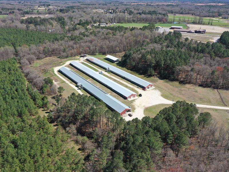 Providence Breeder Farm : Pageland : Chesterfield County : South Carolina