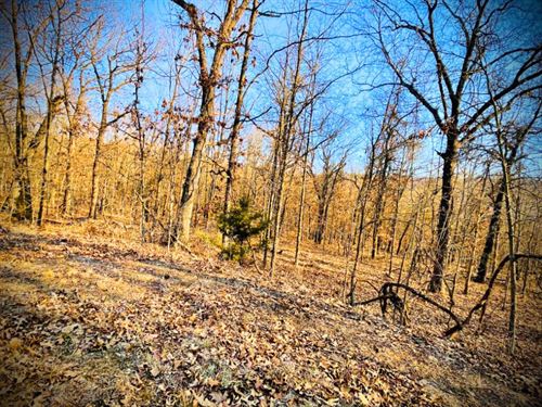 5.45 Wooded Acres in Missouri Lake : Edwards : Benton County : Missouri