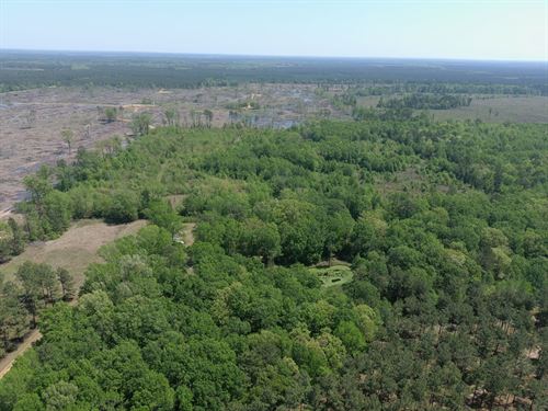 40 Acres in Lafayette County, AR : Bradley : Lafayette County : Arkansas