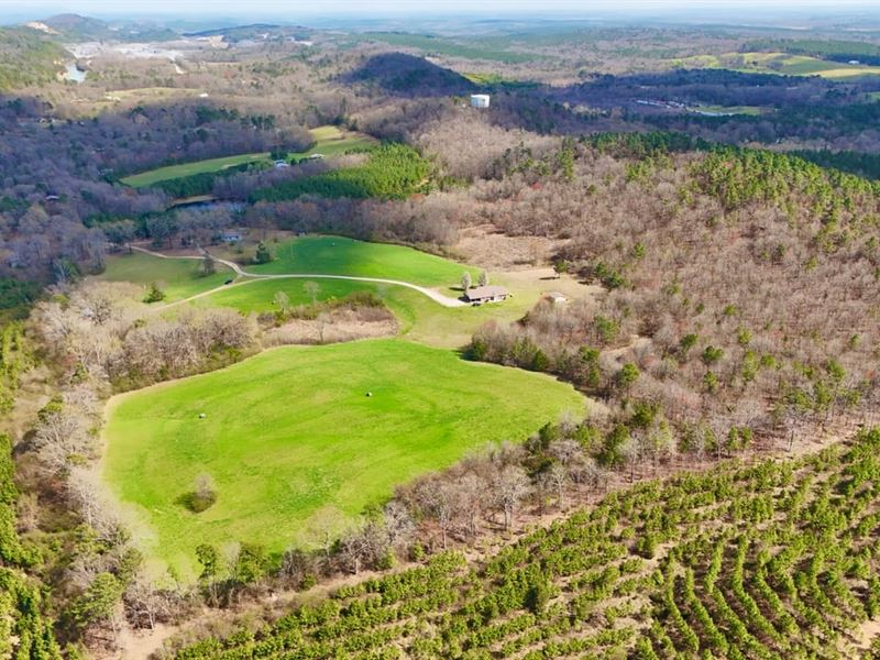 30 Acres in Cove, Arkansas : Cove : Polk County : Arkansas