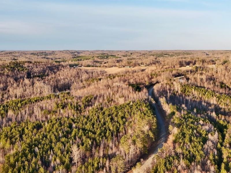 143.5 Acres of re : Reidsville : Rockingham County : North Carolina