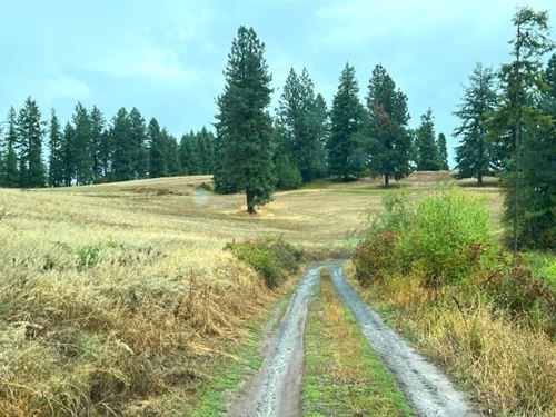 Hunting Haven at Dworshak : Lenore : Clearwater County : Idaho