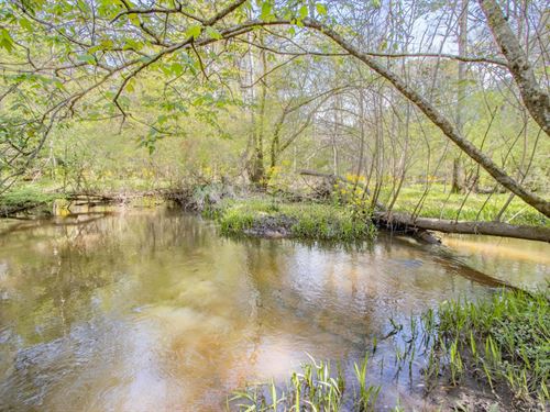 212 Ac Hunting With Creeks, Big Har : Graceville : Jackson County : Florida