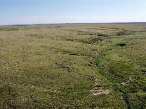 Hamilton County Grassland Quarter : Syracuse : Hamilton County : Kansas