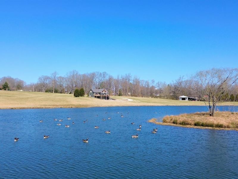 Sportsman's Paradise, Ducks, Fish : Bruceton : Carroll County : Tennessee