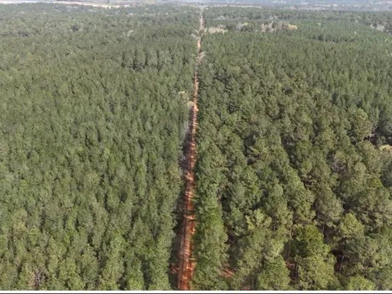 151.8 Acres in Smith County in Rale : Raleigh : Smith County : Mississippi