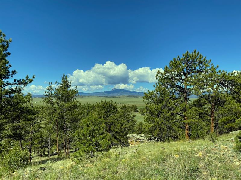 Tomahawk Ridge : Hartsel : Park County : Colorado