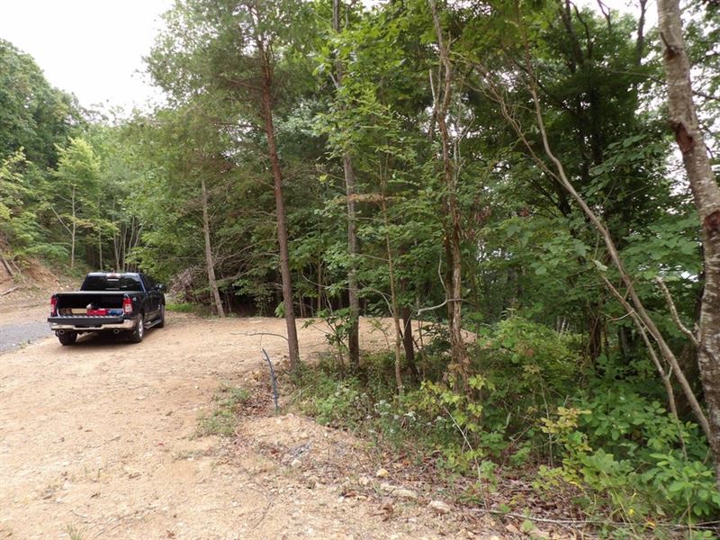 Views, Building Areas, Location : Pikeville : Bledsoe County : Tennessee