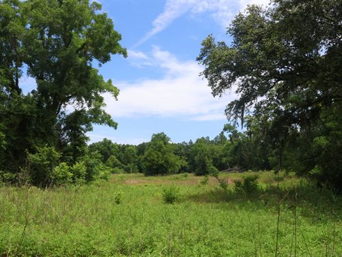 Walden Farm : Monticello : Jefferson County : Florida