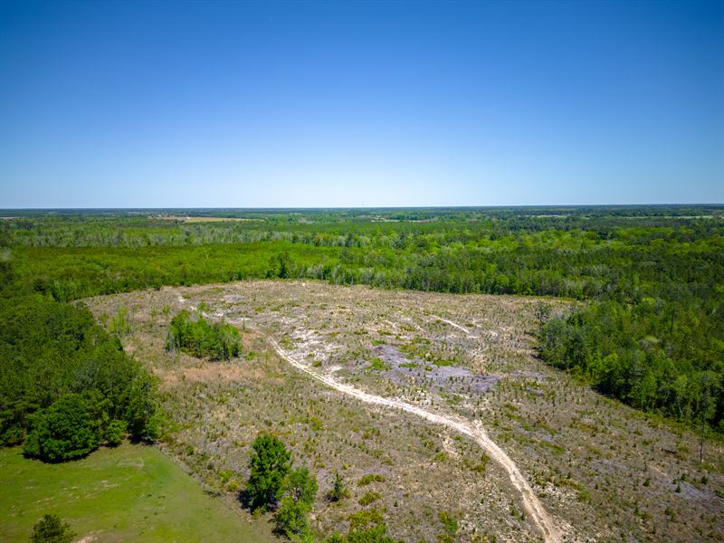 Big Satilla Creek Sanctuary : Bristol : Pierce County : Georgia