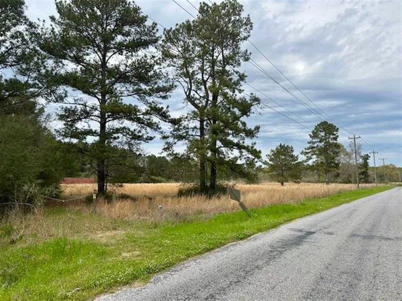 14 Acres in Rural Mississippi : Carson : Jefferson Davis County : Mississippi