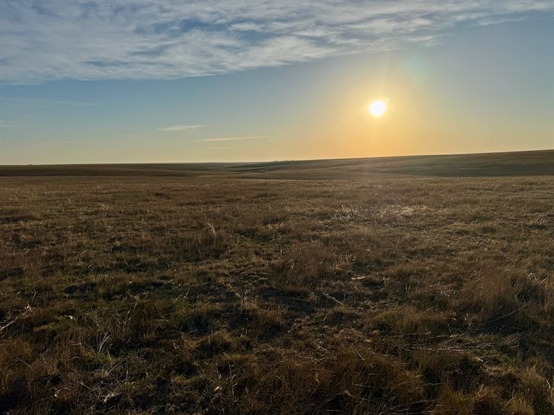 Edson Grassland Quarter : Goodland : Sherman County : Kansas