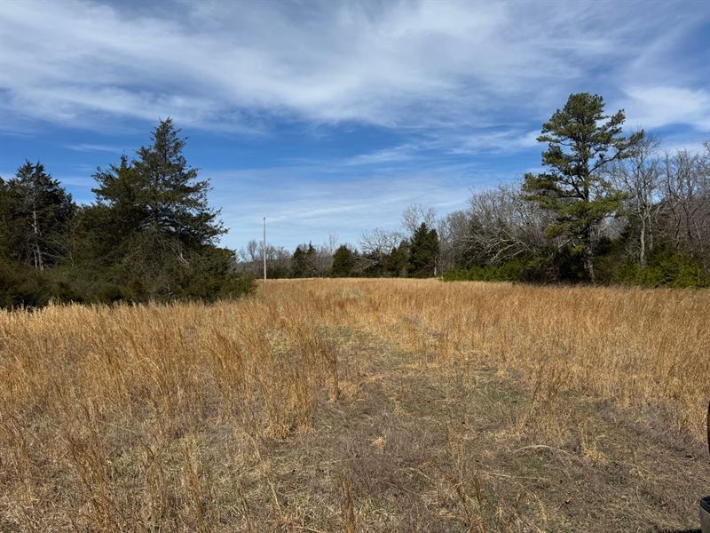 80 Acres in Texas County Missouri : Willow Springs : Texas County : Missouri