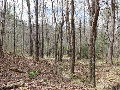 Ideal Location for Hunting / Rec : Ramer : Montgomery County : Alabama